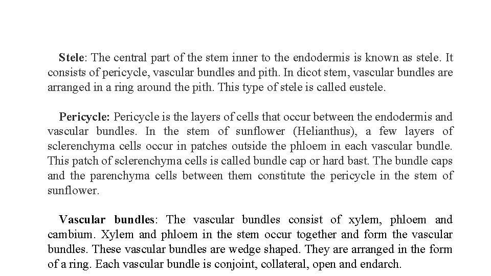 Stele: The central part of the stem inner to the endodermis is known as