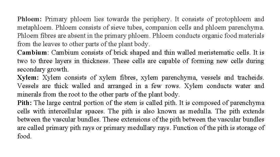 Phloem: Primary phloem lies towards the periphery. It consists of protophloem and metaphloem. Phloem