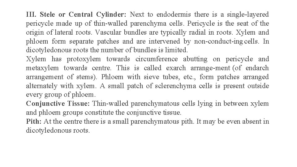 III. Stele or Central Cylinder: Next to endodermis there is a single layered pericycle