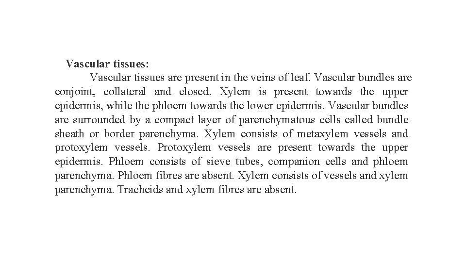 Vascular tissues: Vascular tissues are present in the veins of leaf. Vascular bundles are