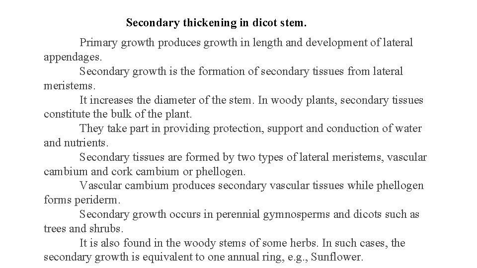 Secondary thickening in dicot stem. Primary growth produces growth in length and development of