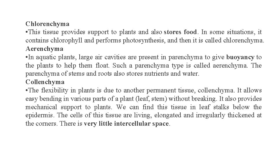 Chlorenchyma • This tissue provides support to plants and also stores food. In some