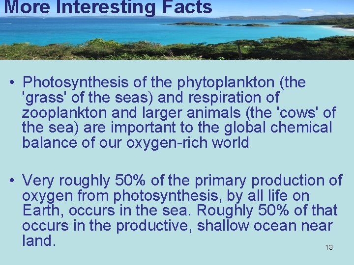 More Interesting Facts • Photosynthesis of the phytoplankton (the 'grass' of the seas) and