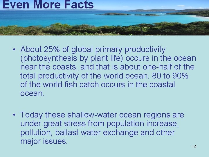 Even More Facts • About 25% of global primary productivity (photosynthesis by plant life)