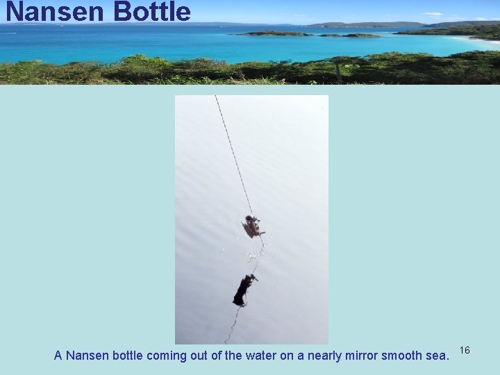 Nansen Bottle A Nansen bottle coming out of the water on a nearly mirror