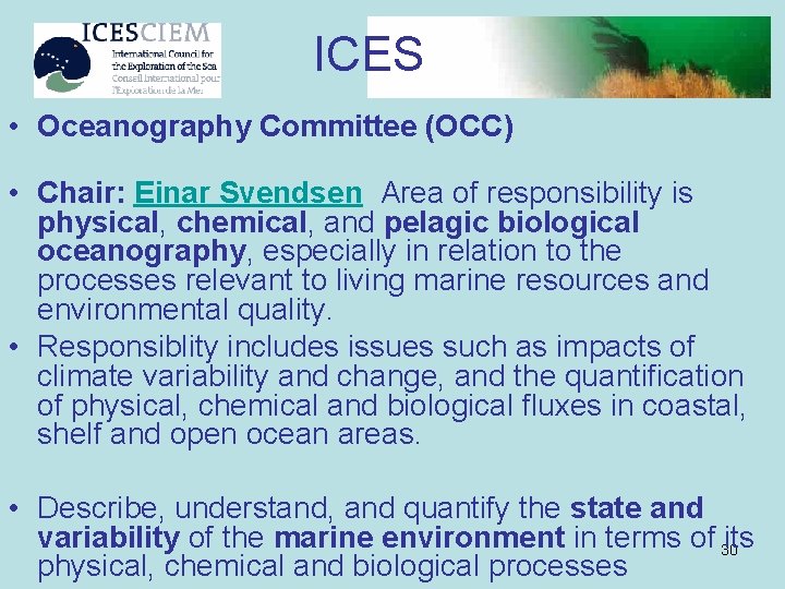 ICES • Oceanography Committee (OCC) • Chair: Einar Svendsen Area of responsibility is physical,