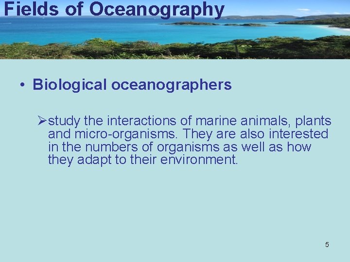 Fields of Oceanography • Biological oceanographers Østudy the interactions of marine animals, plants and