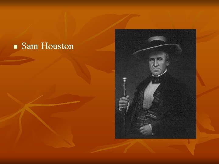 n Sam Houston 