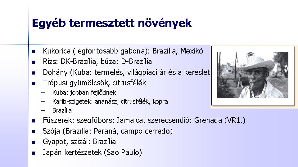 Egyéb termesztett növények n n Kukorica (legfontosabb gabona): Brazília, Mexikó Rizs: DK-Brazília, búza: D-Brazília