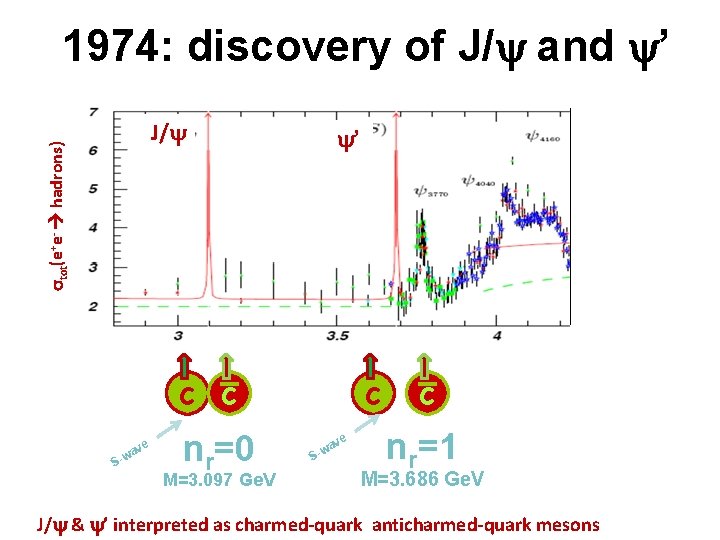 1974: discovery of J/ and ’ stot(e+e- hadrons) J/ ’ c c e S-