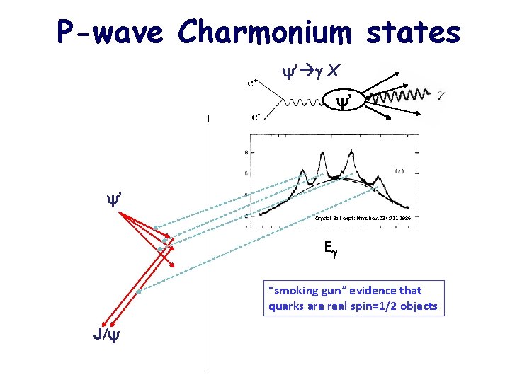 P-wave Charmonium states e+ e- ’ g X ’ ’ Crystal Ball expt: Phys.