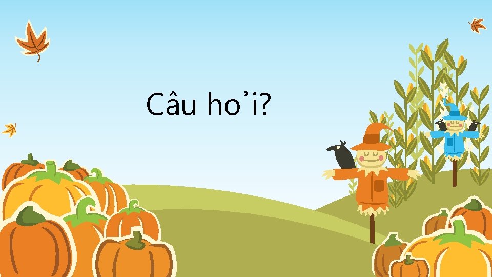 Câu ho i? 