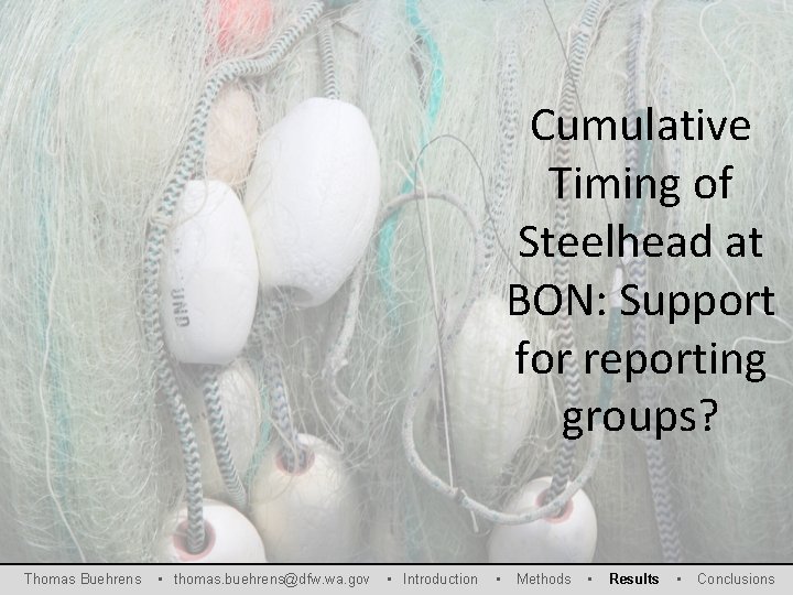 Cumulative Timing of Steelhead at BON: Support for reporting groups? Thomas Buehrens • thomas.