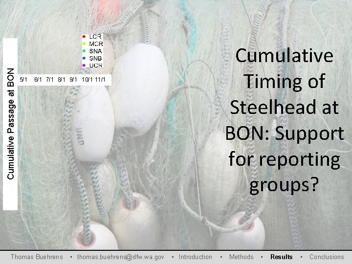 Cumulative Passage at BON 5/1 Cumulative Timing of Steelhead at BON: Support for reporting