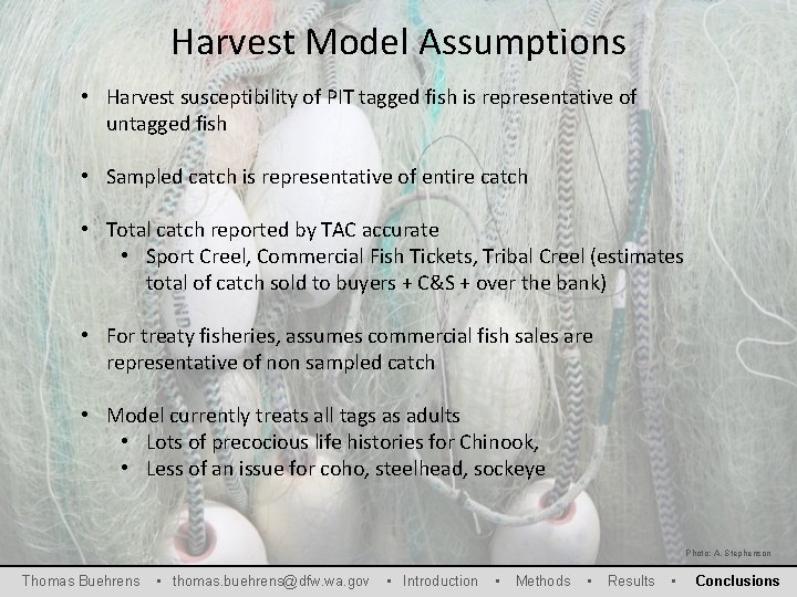 Harvest Model Assumptions • Harvest susceptibility of PIT tagged fish is representative of untagged