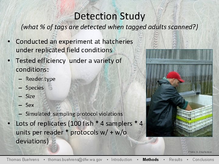 Detection Study (what % of tags are detected when tagged adults scanned? ) •