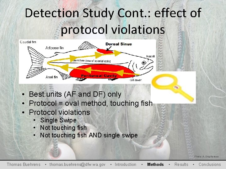Detection Study Cont. : effect of protocol violations • Best units (AF and DF)