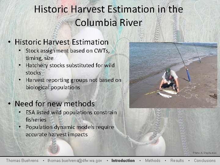 Historic Harvest Estimation in the Columbia River • Historic Harvest Estimation • Stock assignment