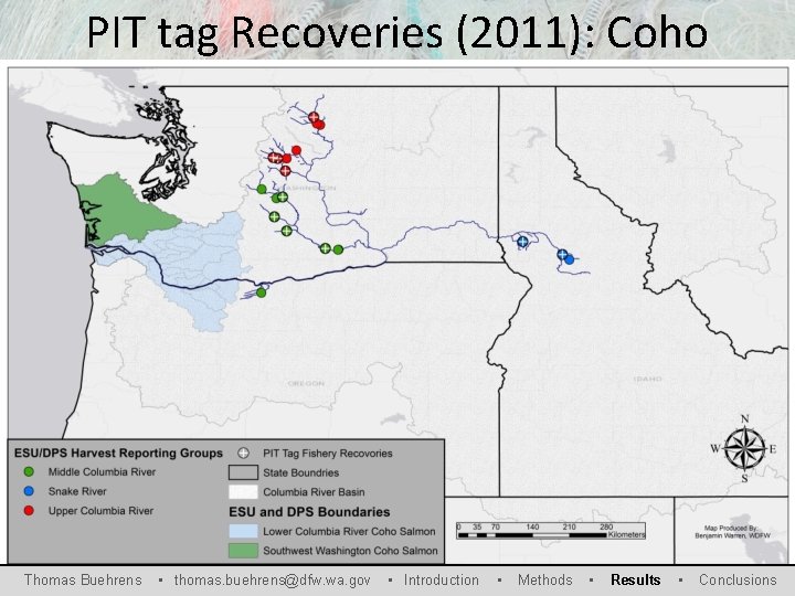 PIT tag Recoveries (2011): Coho Thomas Buehrens • thomas. buehrens@dfw. wa. gov • Introduction