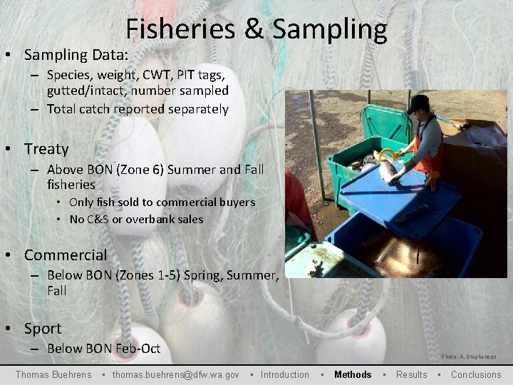 Fisheries & Sampling • Sampling Data: – Species, weight, CWT, PIT tags, gutted/intact, number
