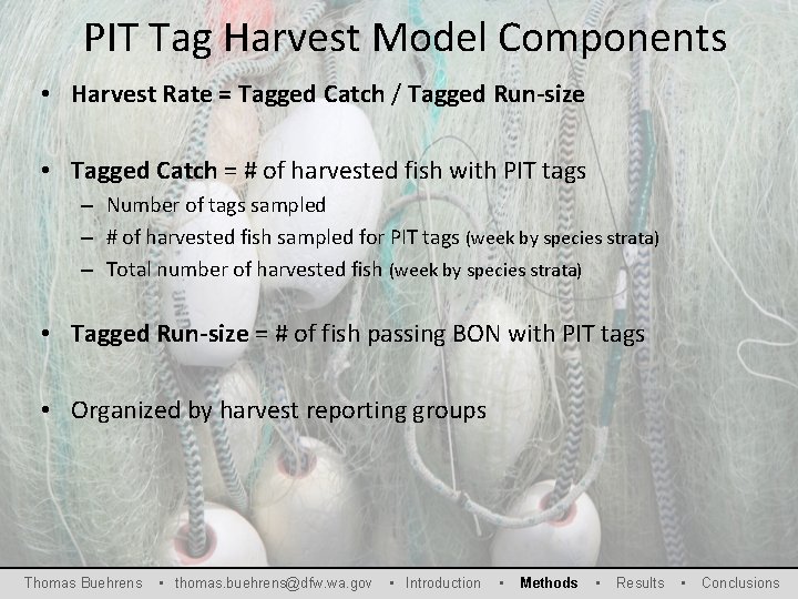 PIT Tag Harvest Model Components • Harvest Rate = Tagged Catch / Tagged Run-size
