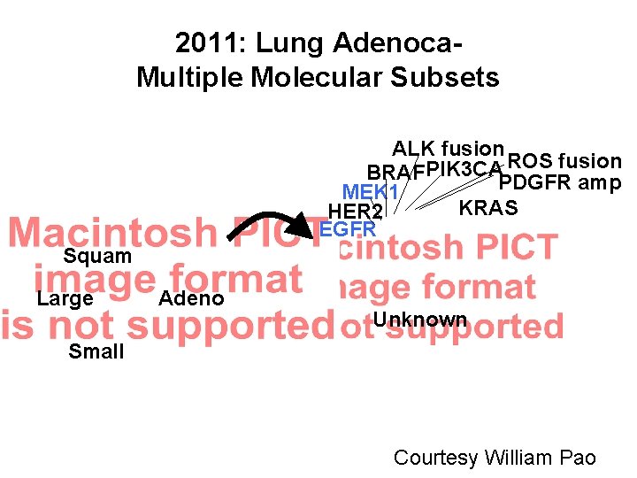 2011: Lung Adenoca. Multiple Molecular Subsets ALK fusion ROS fusion BRAF PIK 3 CAPDGFR