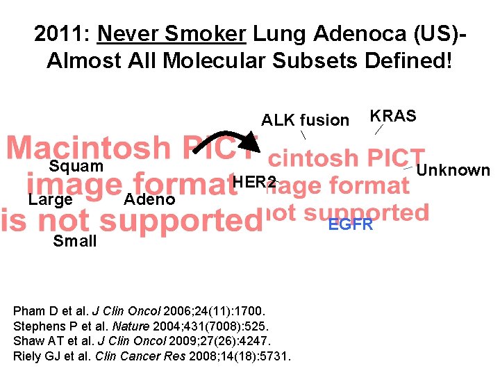 2011: Never Smoker Lung Adenoca (US)Almost All Molecular Subsets Defined! ALK fusion Squam Large