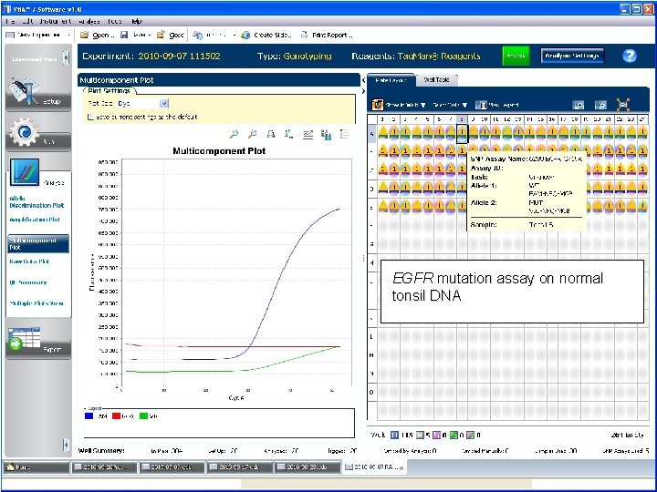 EGFR mutation assay on normal tonsil DNA 