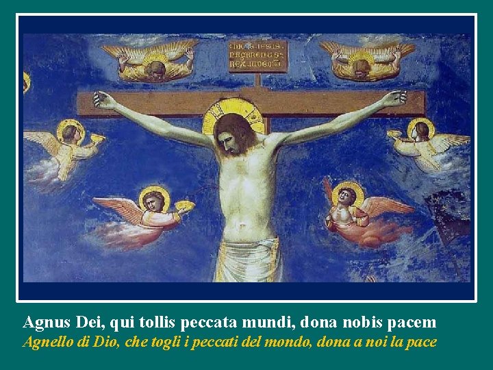 Agnus Dei, qui tollis peccata mundi, dona nobis pacem Agnello di Dio, che togli