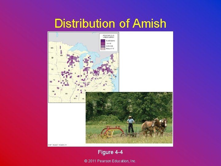 Distribution of Amish Figure 4 -4 © 2011 Pearson Education, Inc. 