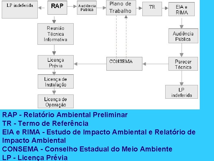 RAP - Relatório Ambiental Preliminar TR - Termo de Referência EIA e RIMA -