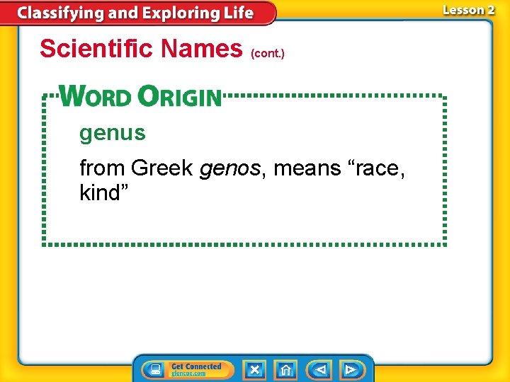 Scientific Names (cont. ) genus from Greek genos, means “race, kind” 