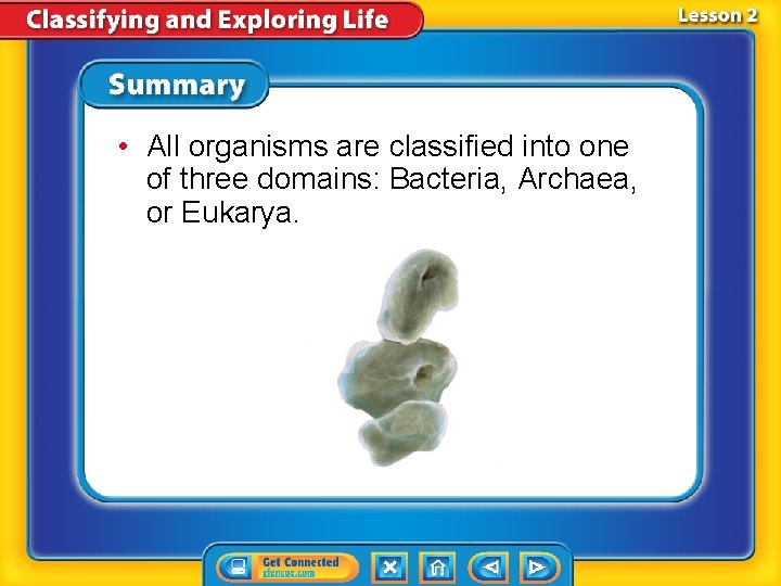  • All organisms are classified into one of three domains: Bacteria, Archaea, or