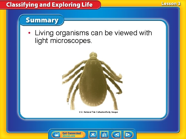  • Living organisms can be viewed with light microscopes. U. S. National Tick