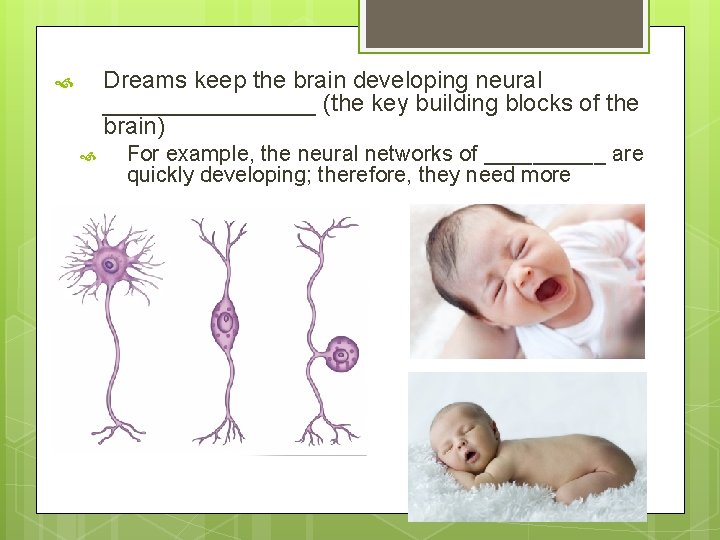 Dreams keep the brain developing neural ________ (the key building blocks of the brain)