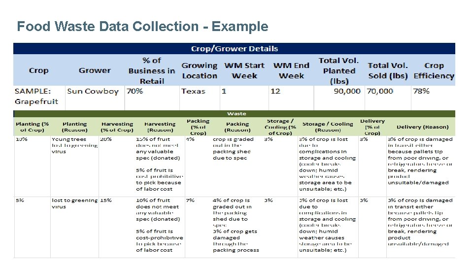 Food Waste Data Collection - Example 