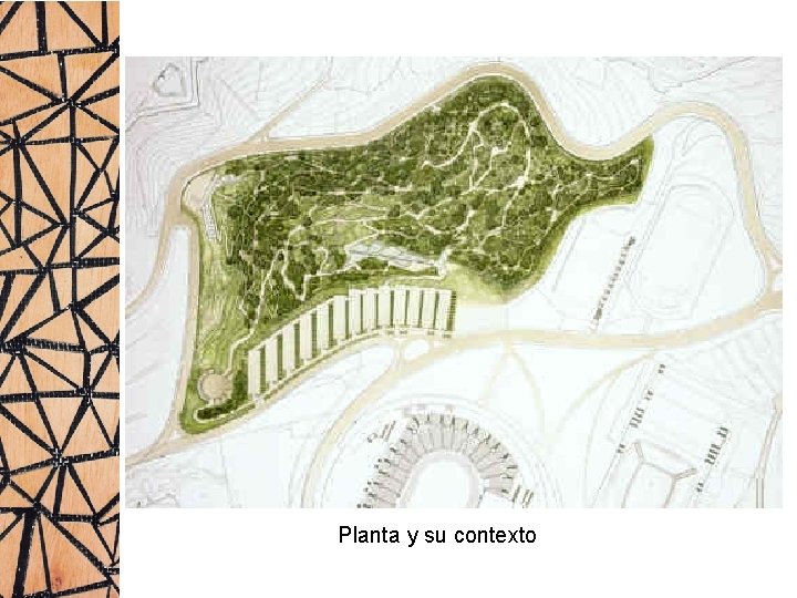 Planta y su contexto 