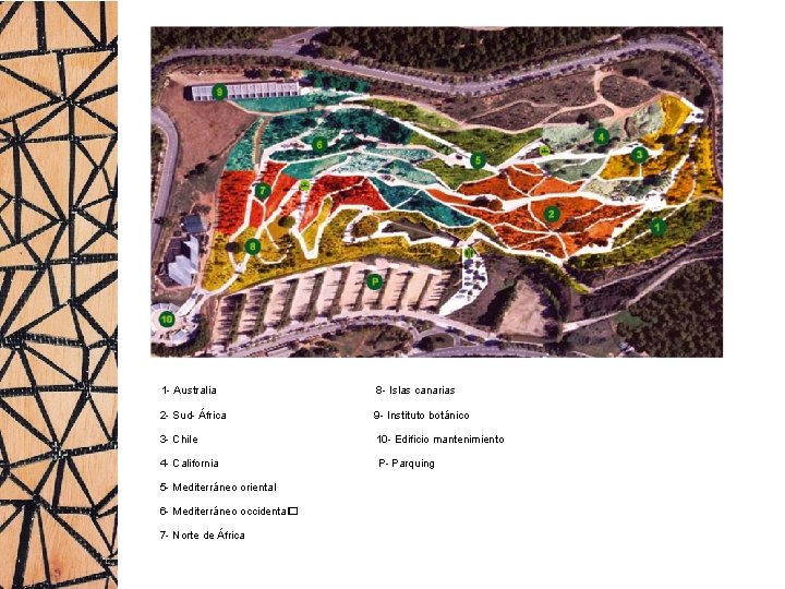 1 - Australia 8 - Islas canarias 2 - Sud- África 9 - Instituto