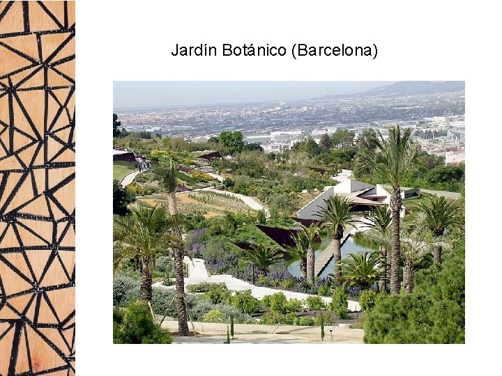 Jardín Botánico (Barcelona) 