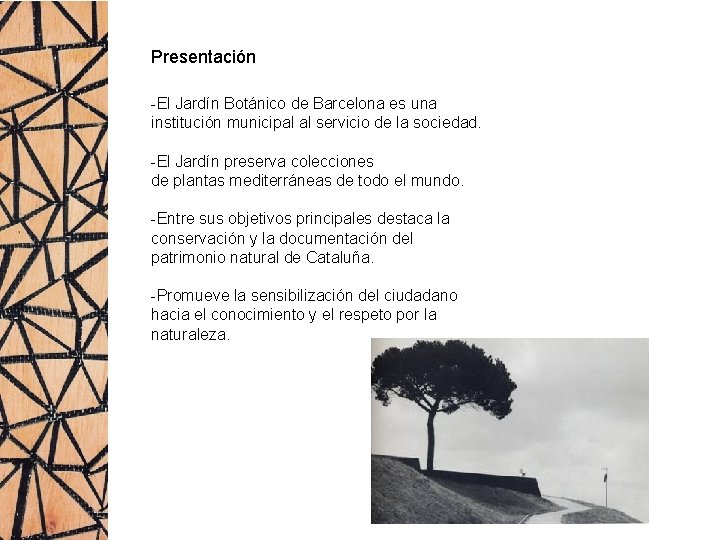 Presentación -El Jardín Botánico de Barcelona es una institución municipal al servicio de la