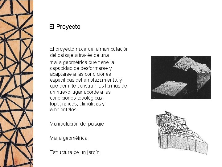 El Proyecto El proyecto nace de la manipulación del paisaje a través de una