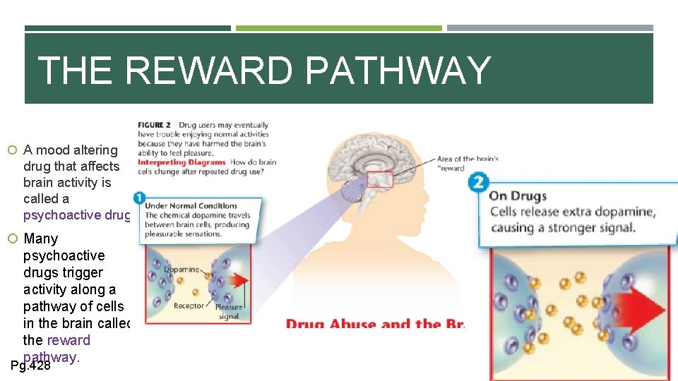THE REWARD PATHWAY A mood altering drug that affects brain activity is called a
