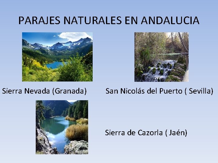 PARAJES NATURALES EN ANDALUCIA Sierra Nevada (Granada) San Nicolás del Puerto ( Sevilla) Sierra