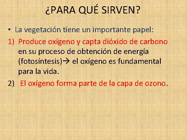 ¿PARA QUÉ SIRVEN? • La vegetación tiene un importante papel: 1) Produce oxígeno y