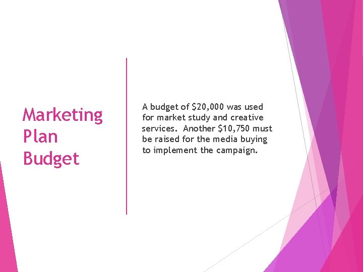Marketing Plan Budget A budget of $20, 000 was used for market study and