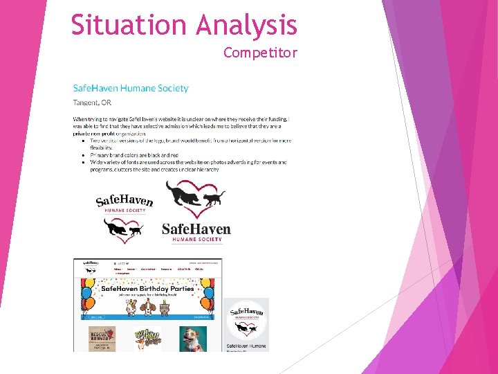 Situation Analysis Competitor 