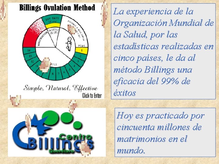 La experiencia de la Organización Mundial de la Salud, por las estadísticas realizadas en