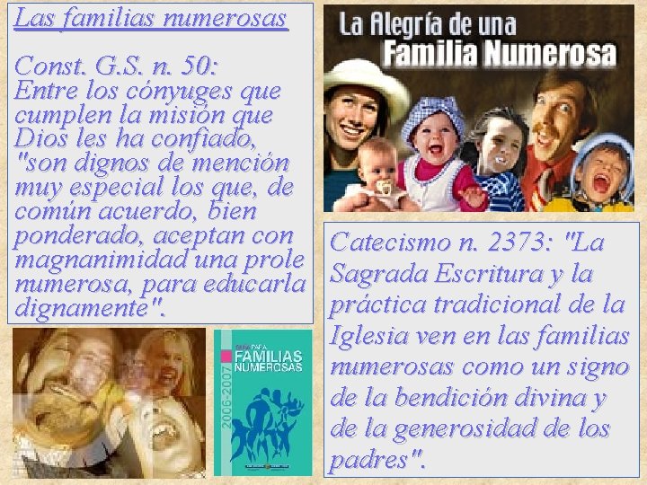 Las familias numerosas Const. G. S. n. 50: Entre los cónyuges que cumplen la