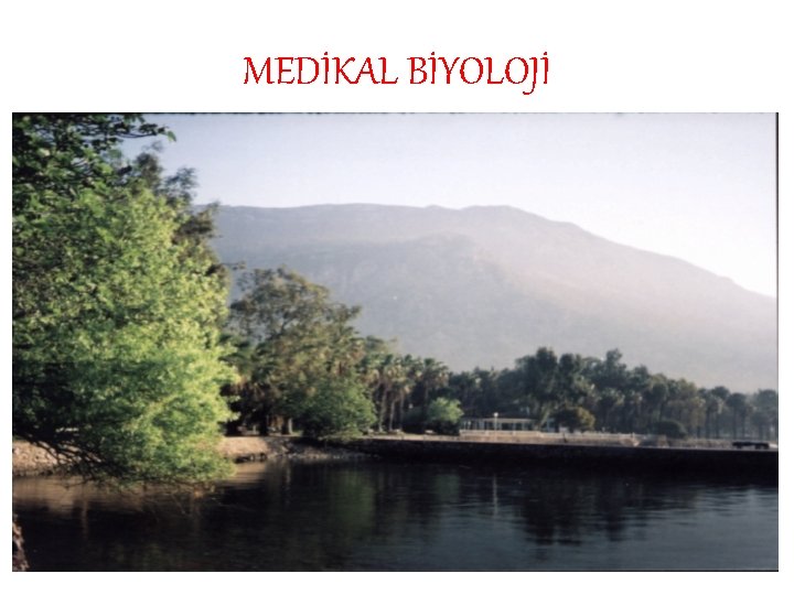 MEDİKAL BİYOLOJİ 