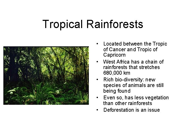 Tropical Rainforests • Located between the Tropic of Cancer and Tropic of Capricorn • Tropical Rainforests • Located between the Tropic of Cancer and Tropic of Capricorn •